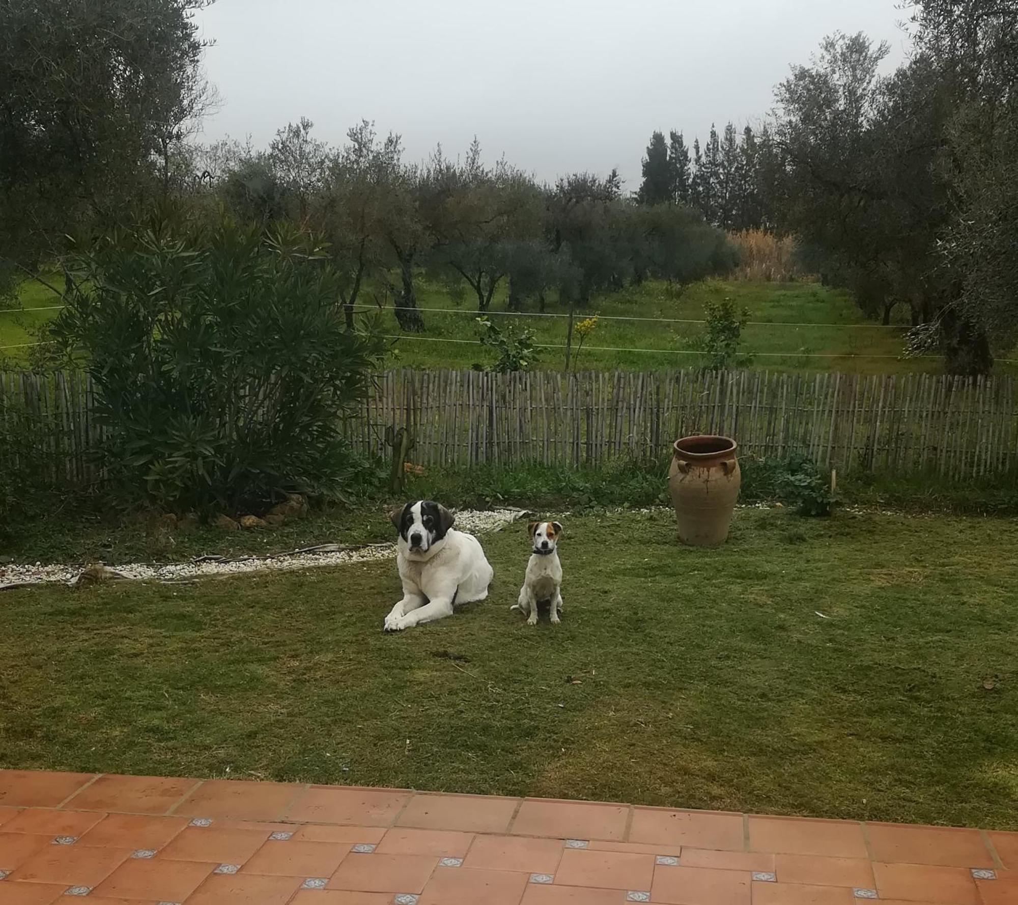 Finca Casa Halcon Almonte Kültér fotó