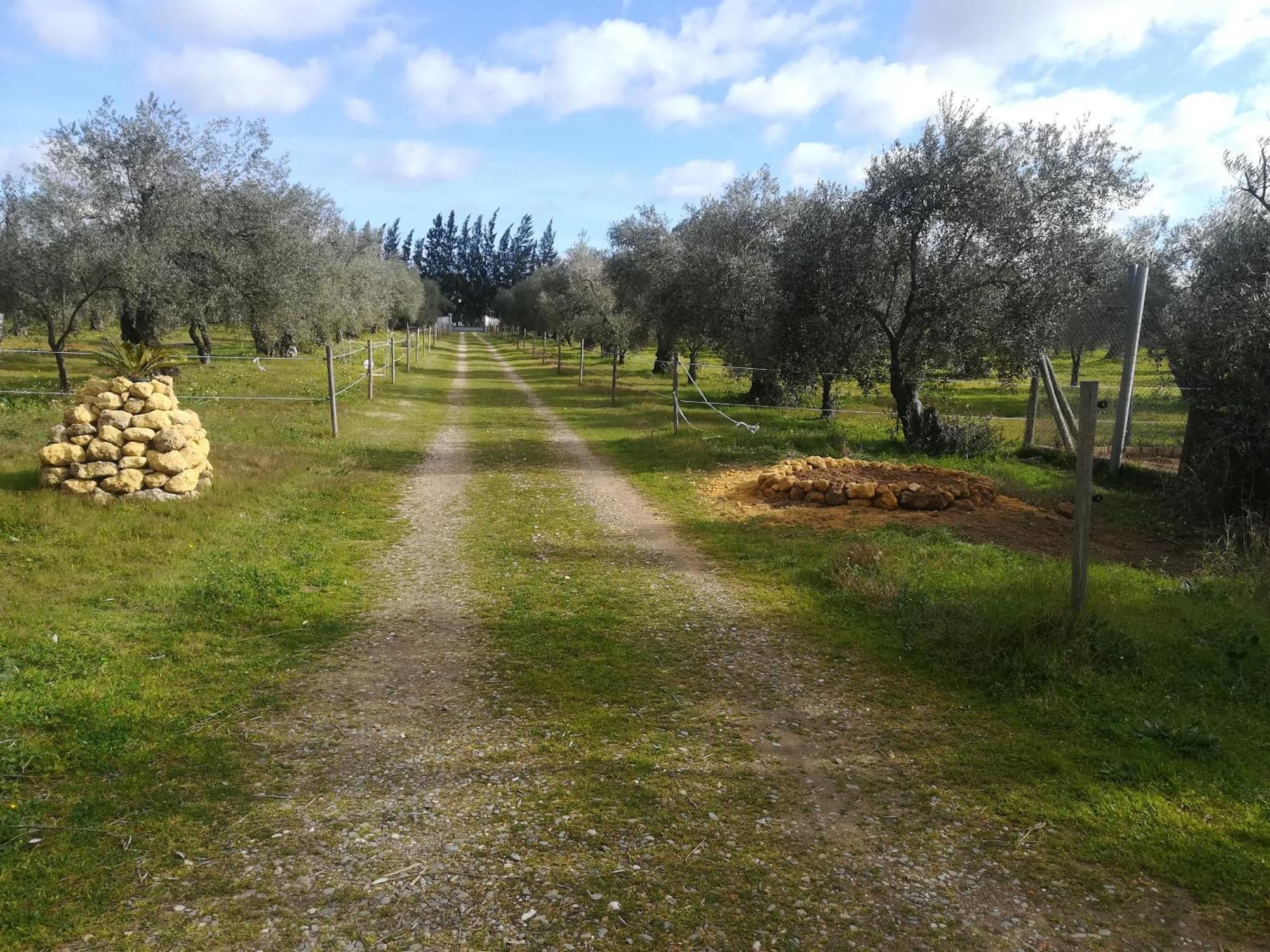 Finca Casa Halcon Almonte Kültér fotó