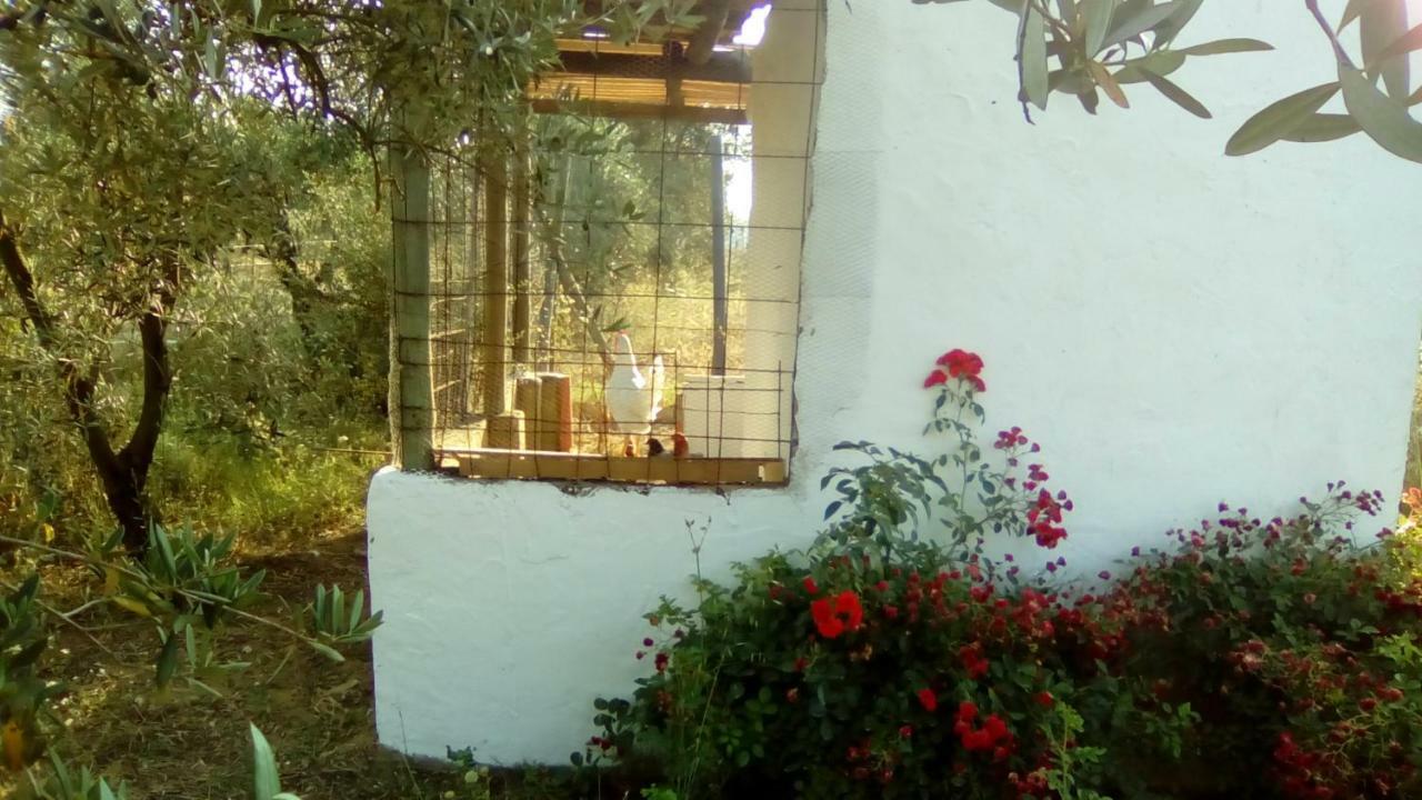 Finca Casa Halcon Almonte Kültér fotó